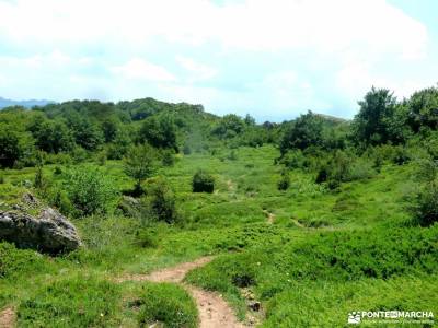 Sierra Toloño,Rioja Alavesa; cercedilla calzada romana viajar semana santa bosque de irati rutas